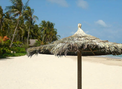 Single Pole Tahiti Palapa